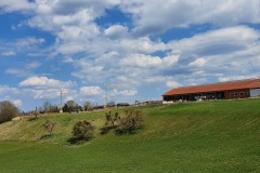 Laufstall_Königsdorf_Mayrbau-Kopie